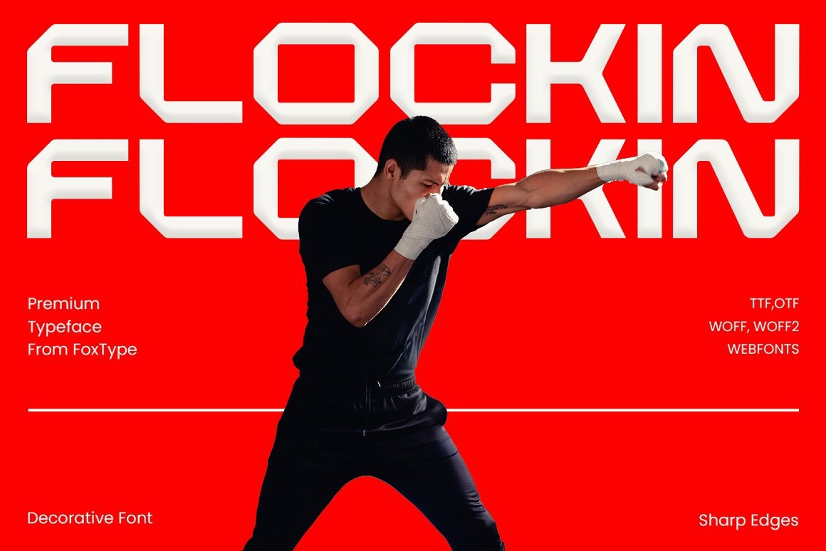 폰트 Flockin Display