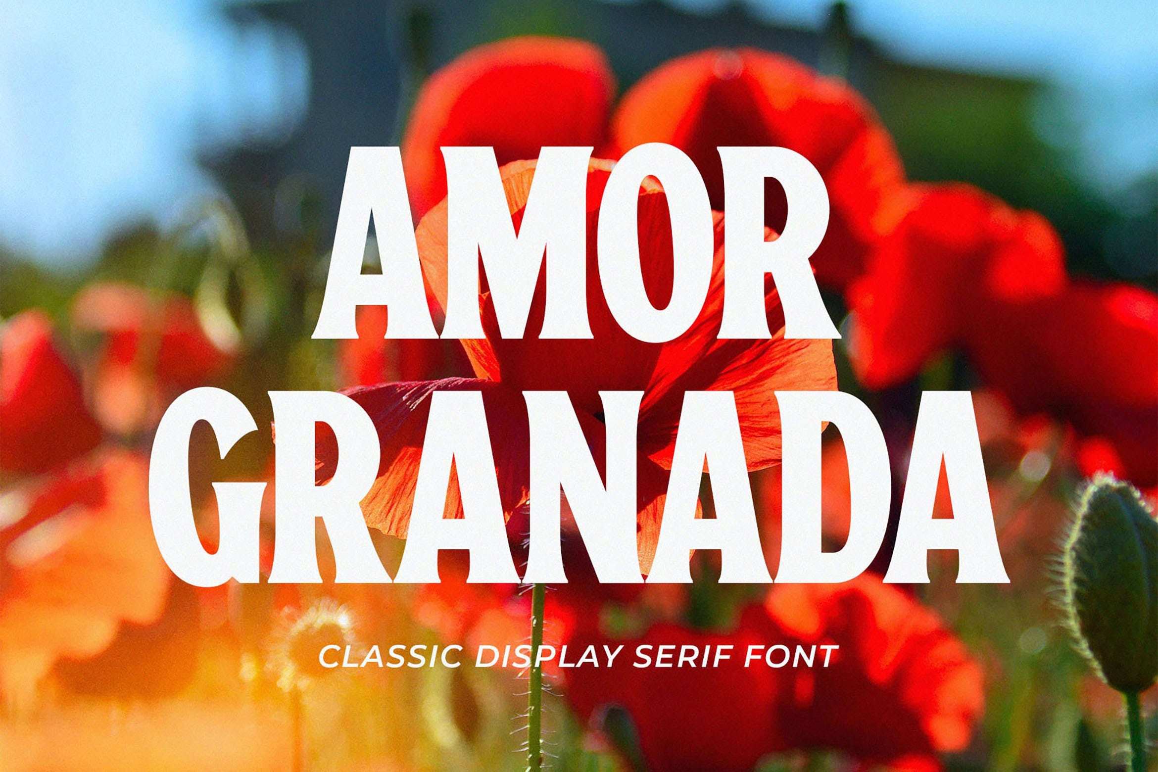 폰트 Amor Granada