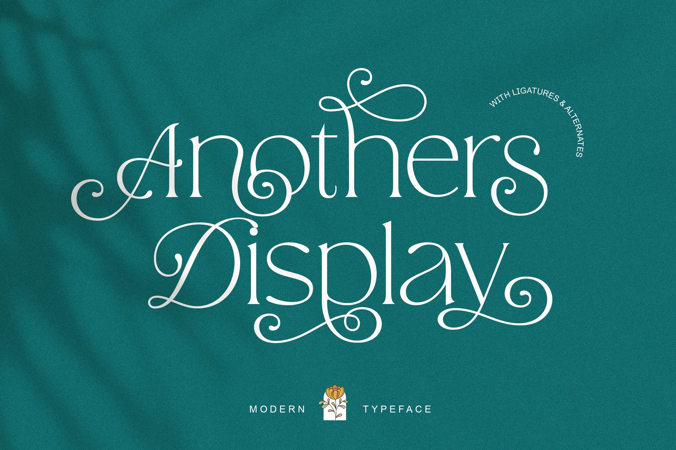 폰트 Anothers Display