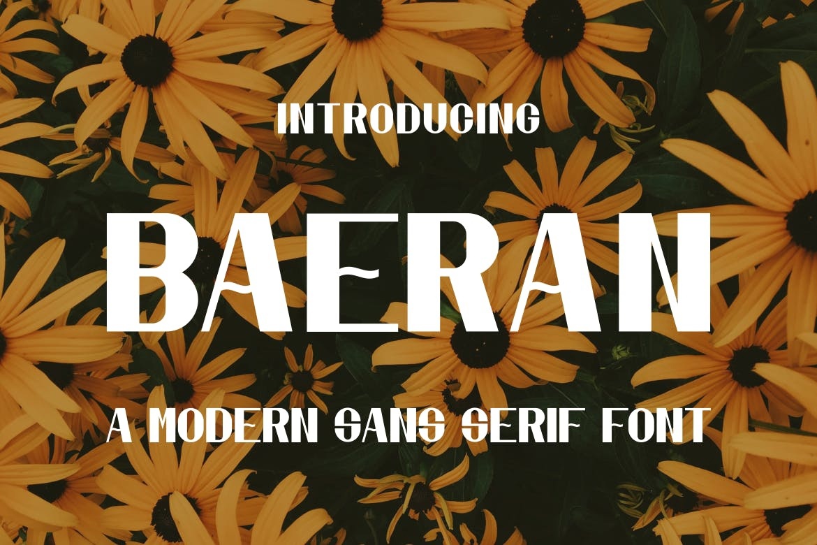 폰트 Baeran