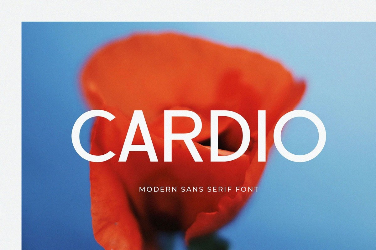 폰트 Cardio