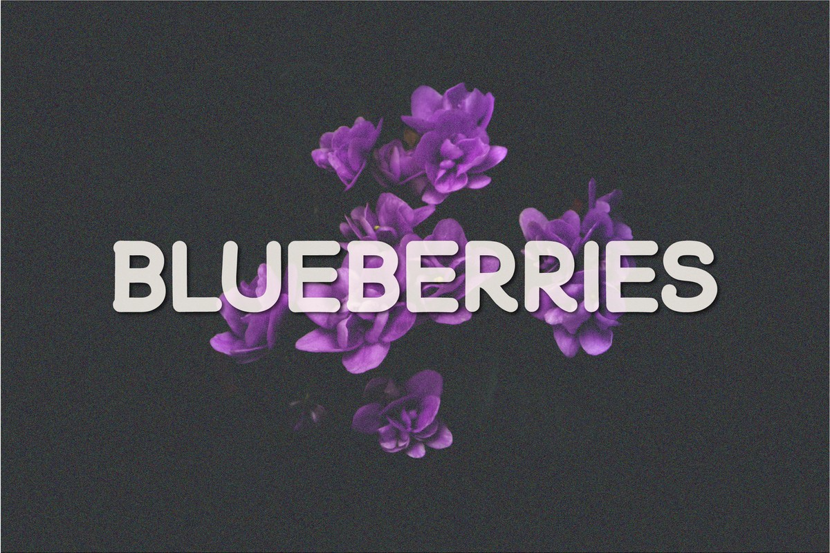 폰트 Blueberries