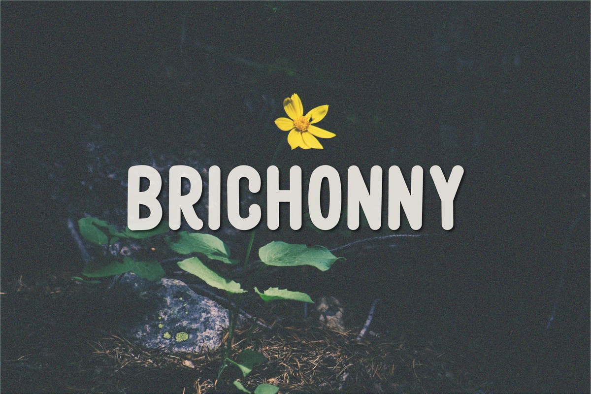폰트 Brichonny