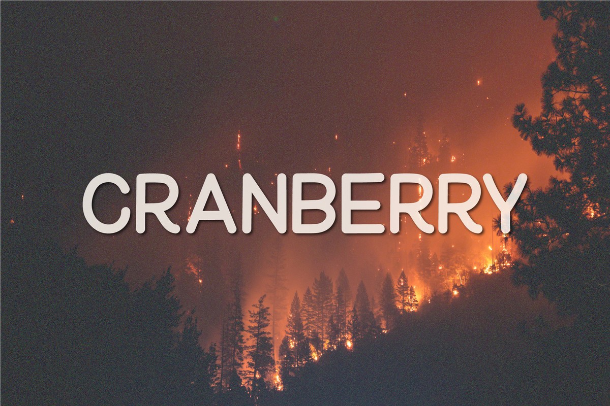 폰트 Cranberry
