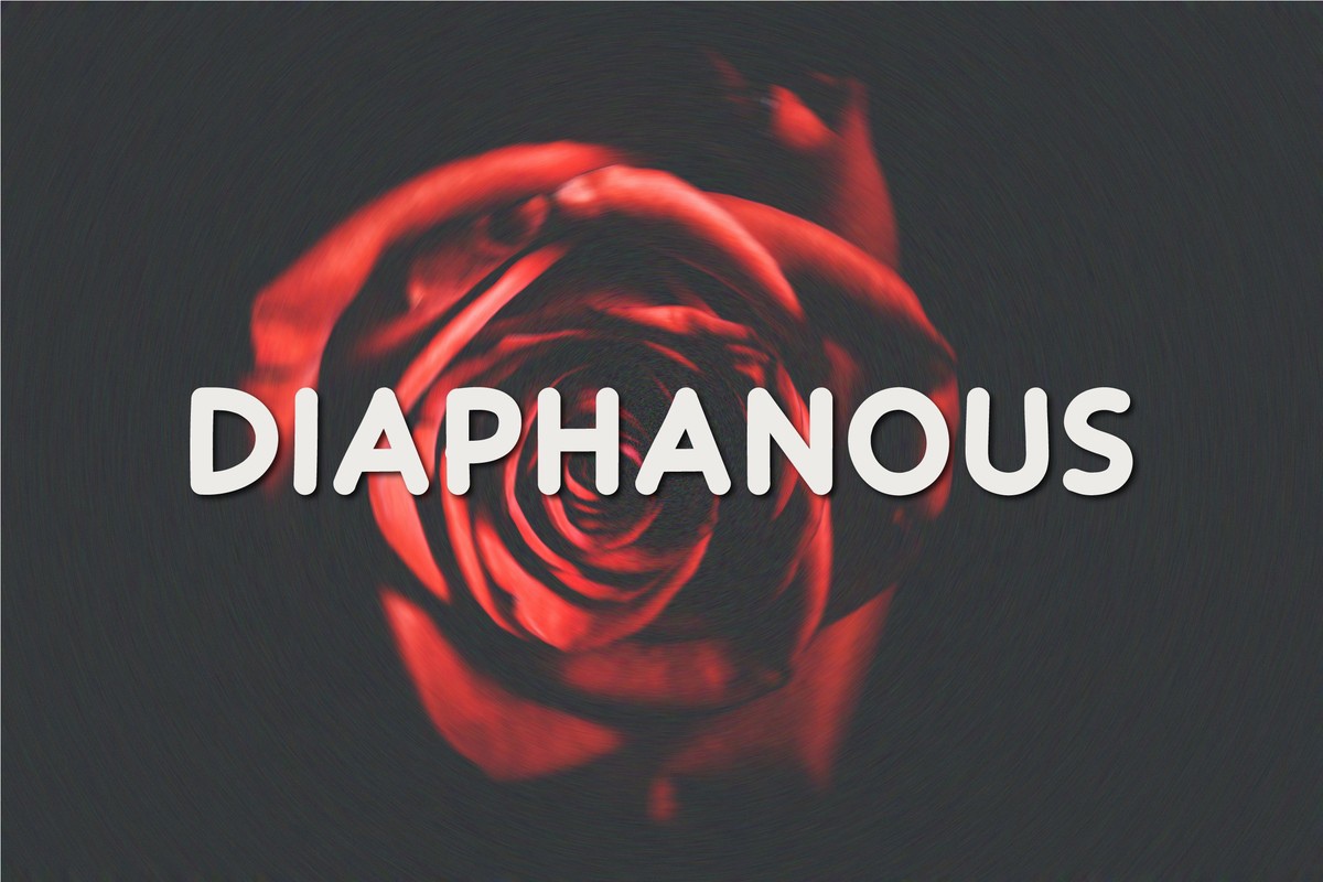폰트 Diaphanous