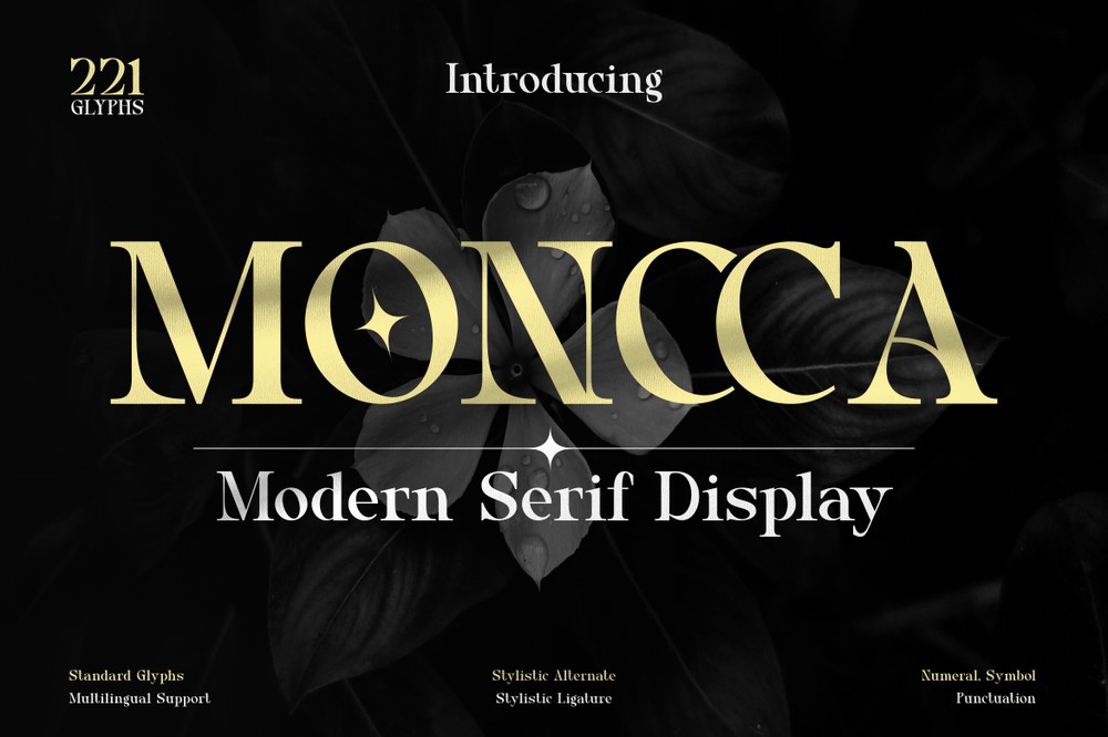 폰트 Moncca