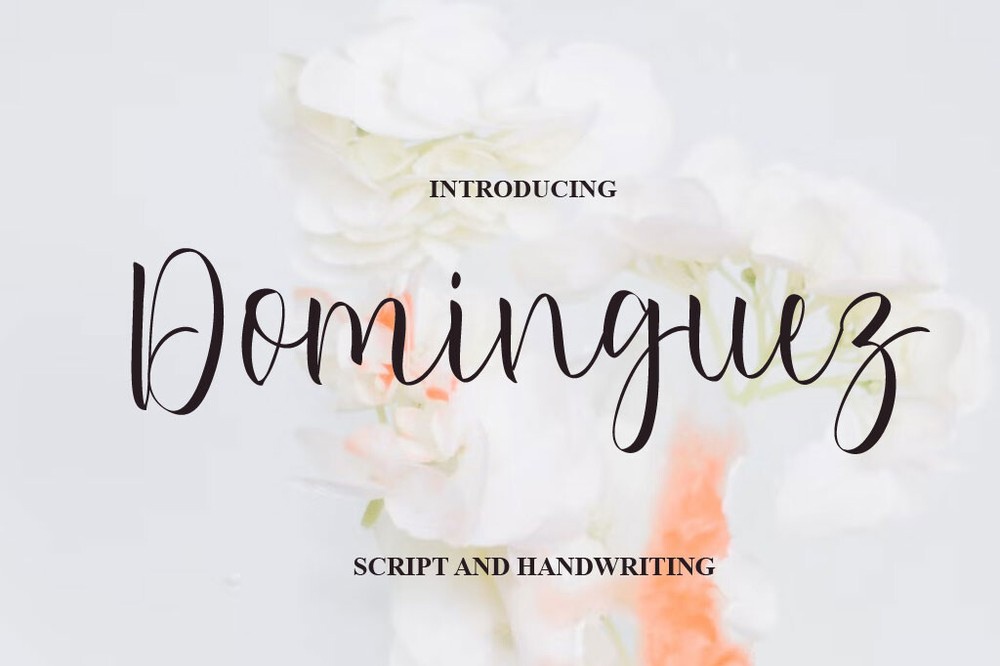 폰트 Dominguez