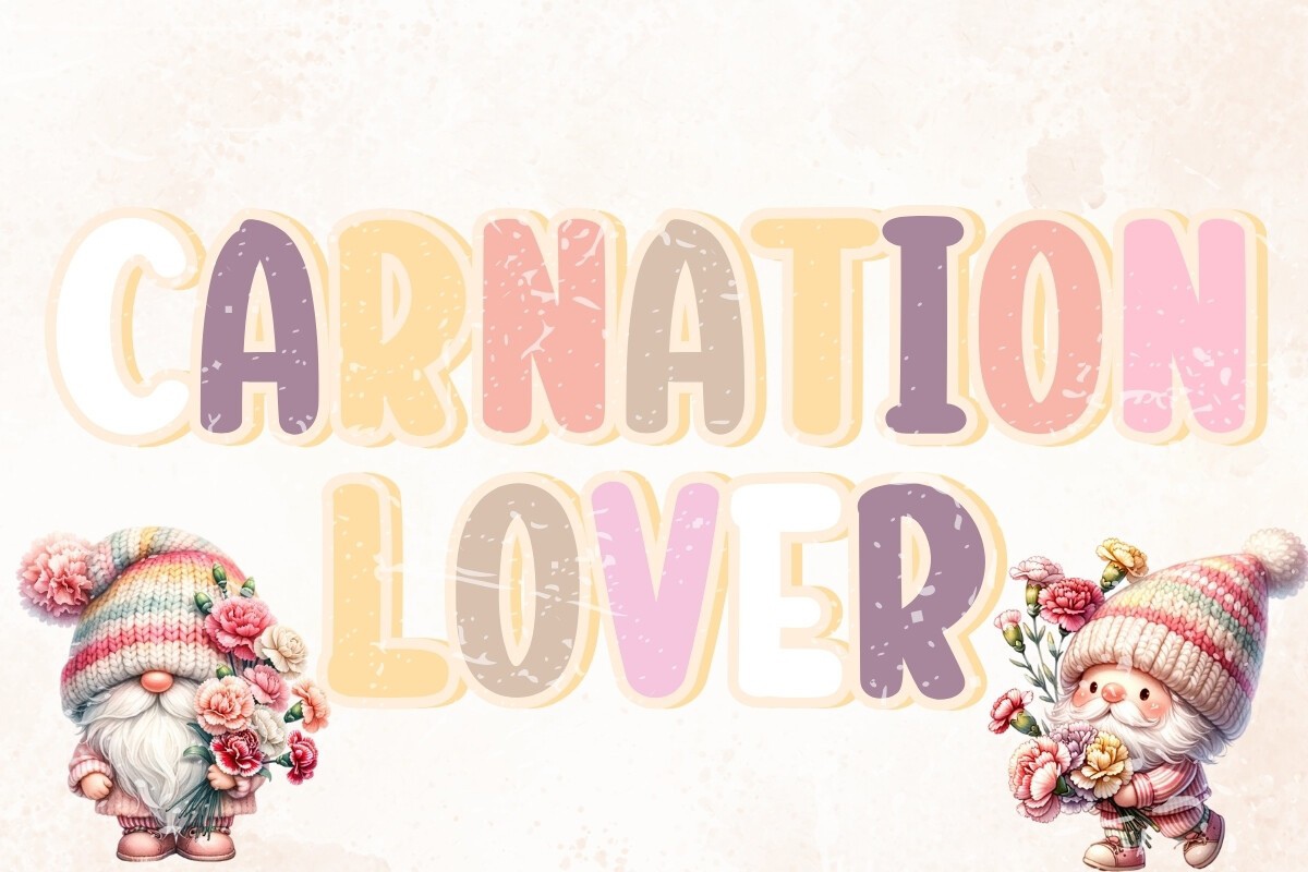 폰트 Carnation Lover
