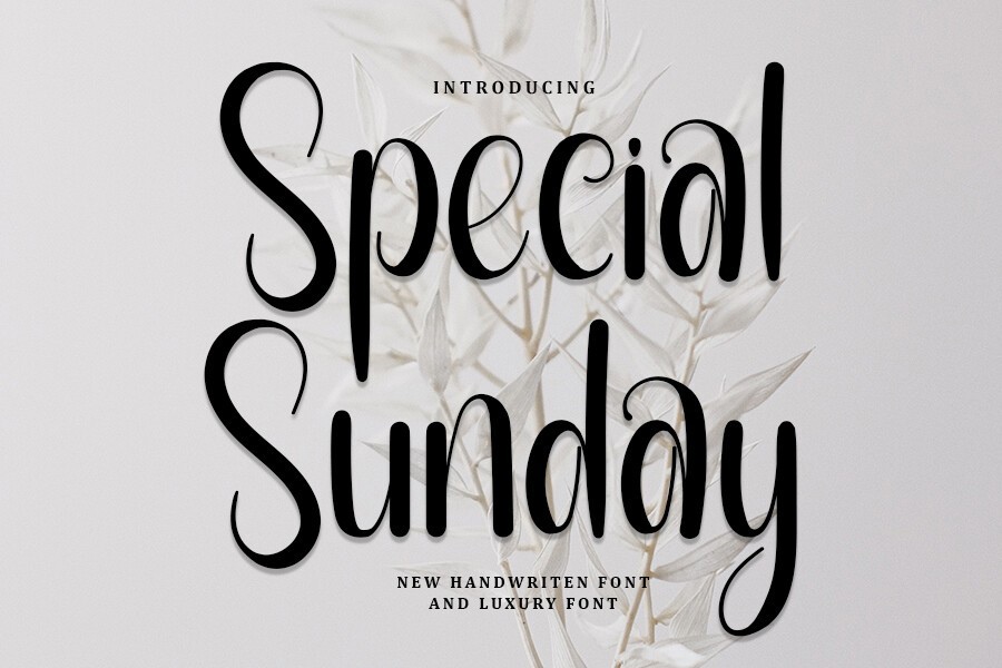 폰트 Special Sunday