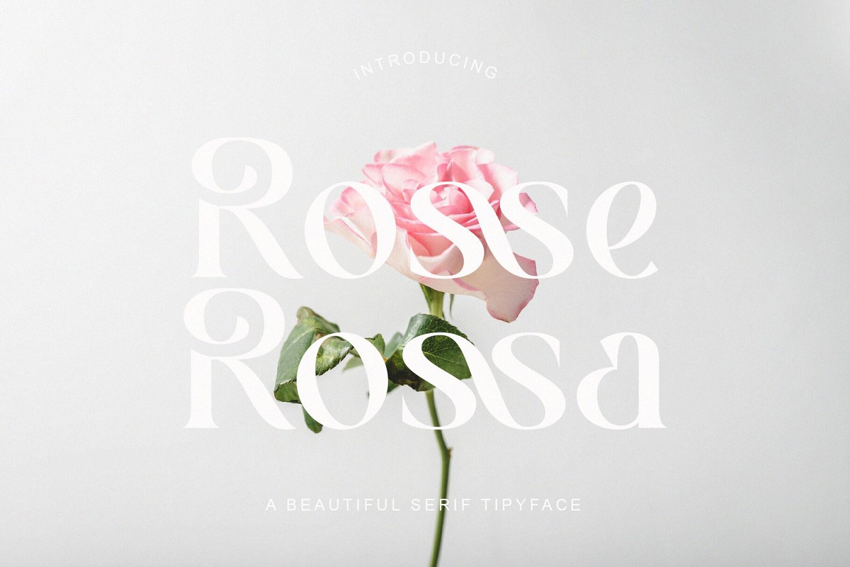 폰트 Rosse Rossa