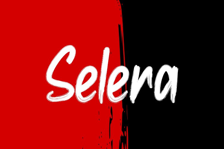 폰트 Selera