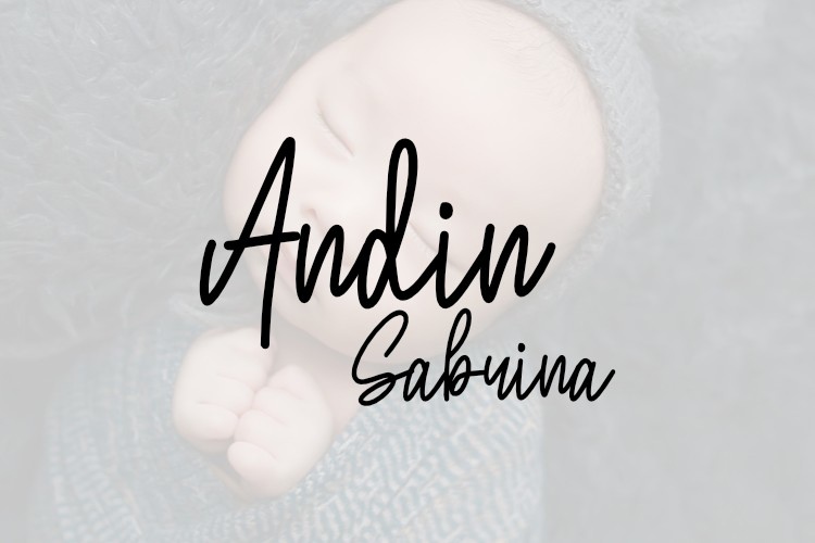 폰트 Andin Sabrina