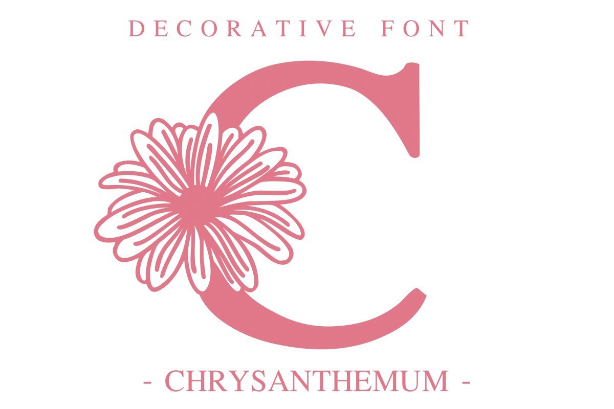 폰트 Chrysanthemum