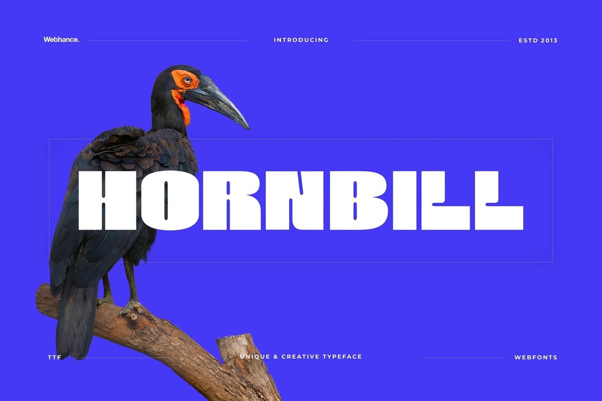 폰트 Hornbill Display Bold