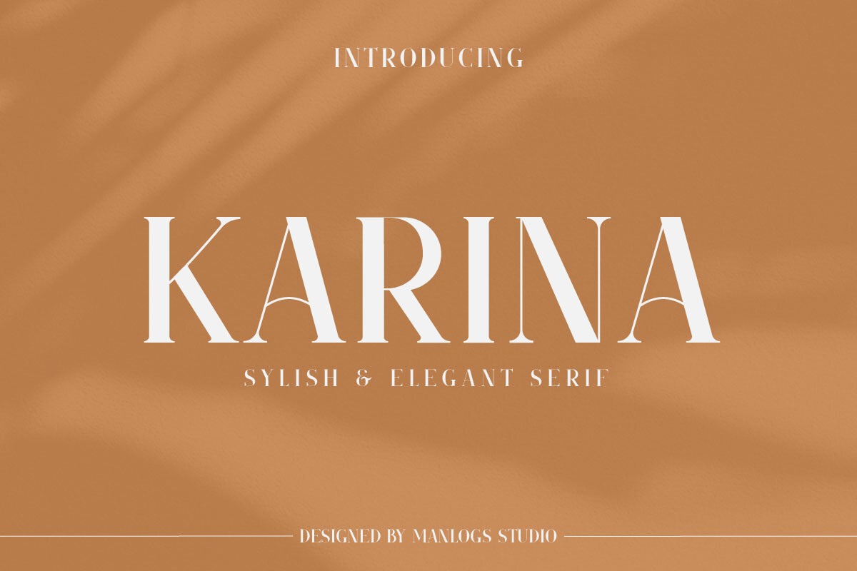 폰트 Karina