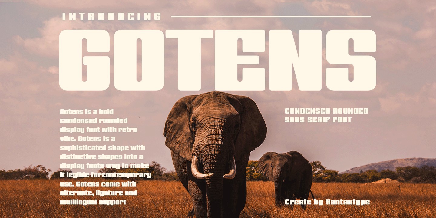 폰트 Gotens