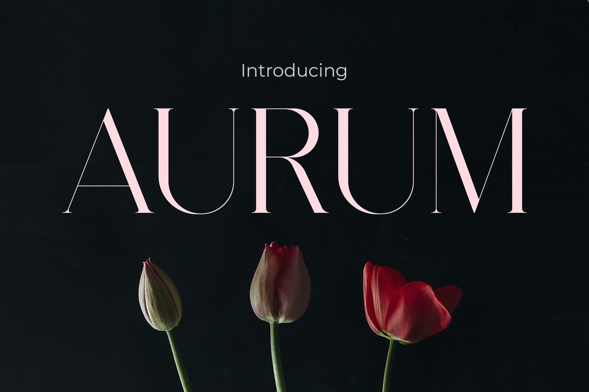 폰트 Aurum