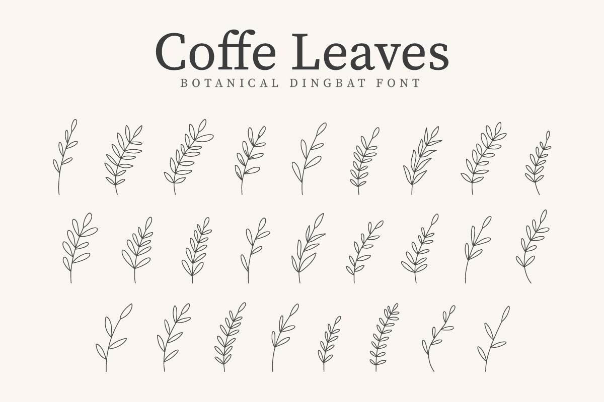 폰트 Coffe Leaves