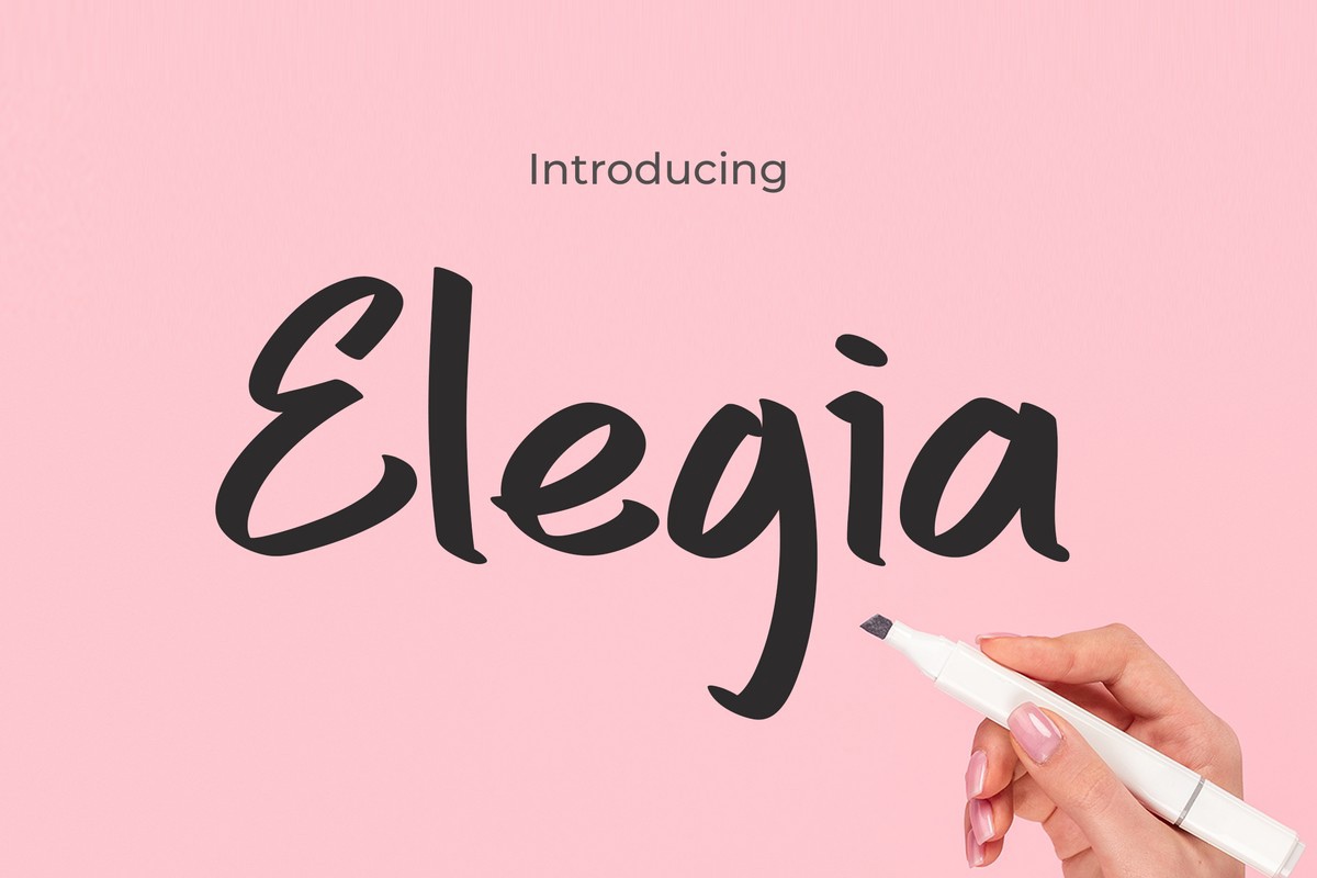 폰트 Elegia