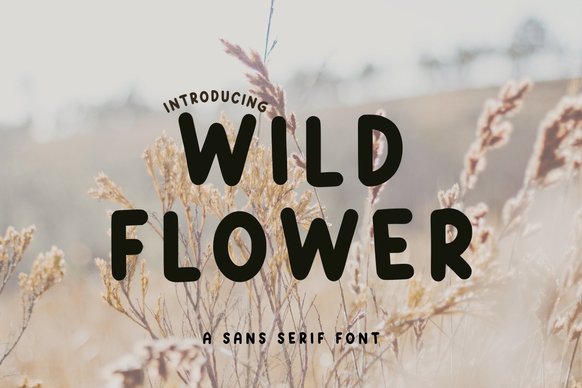 폰트 Wild Flowe