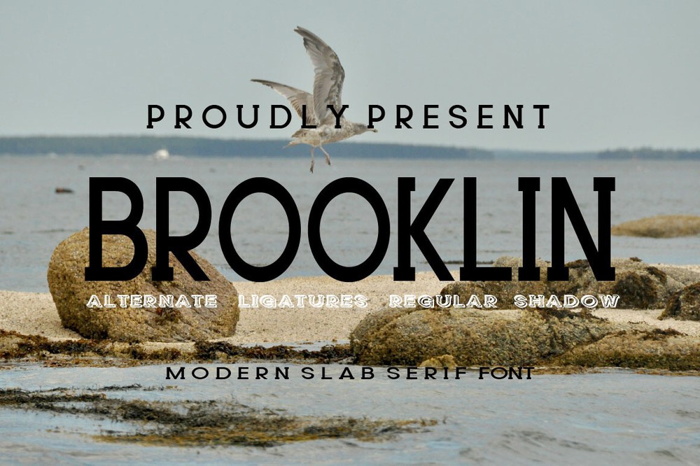 폰트 Brooklin