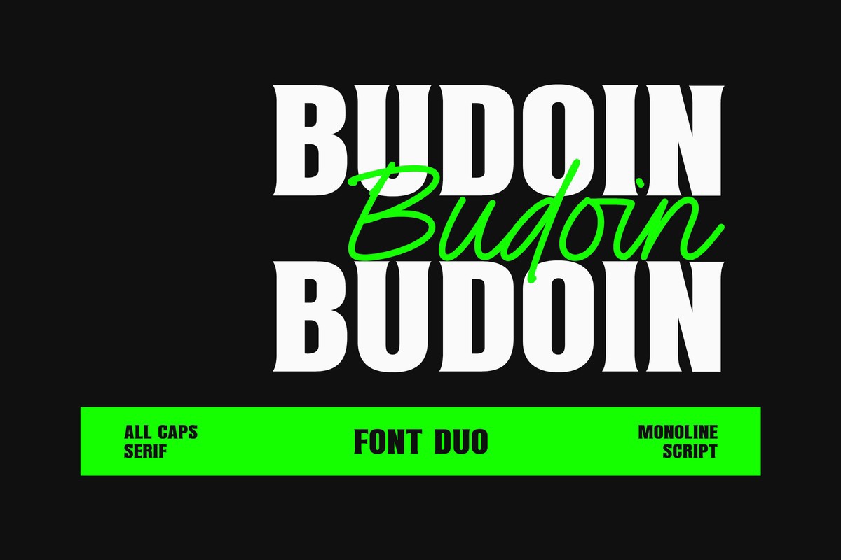 폰트 Budoin