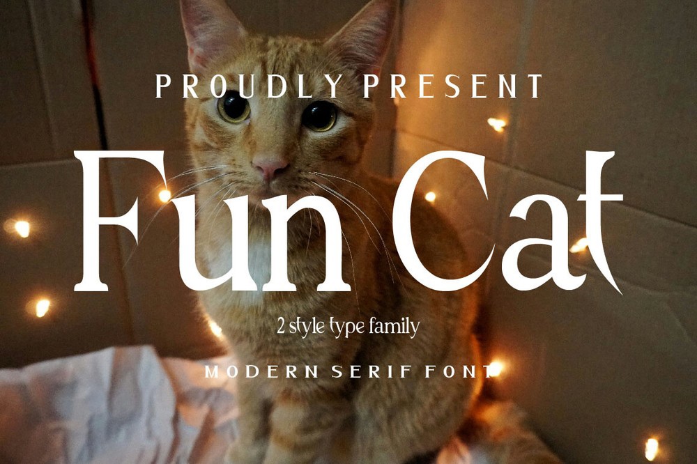 폰트 Fun Cat