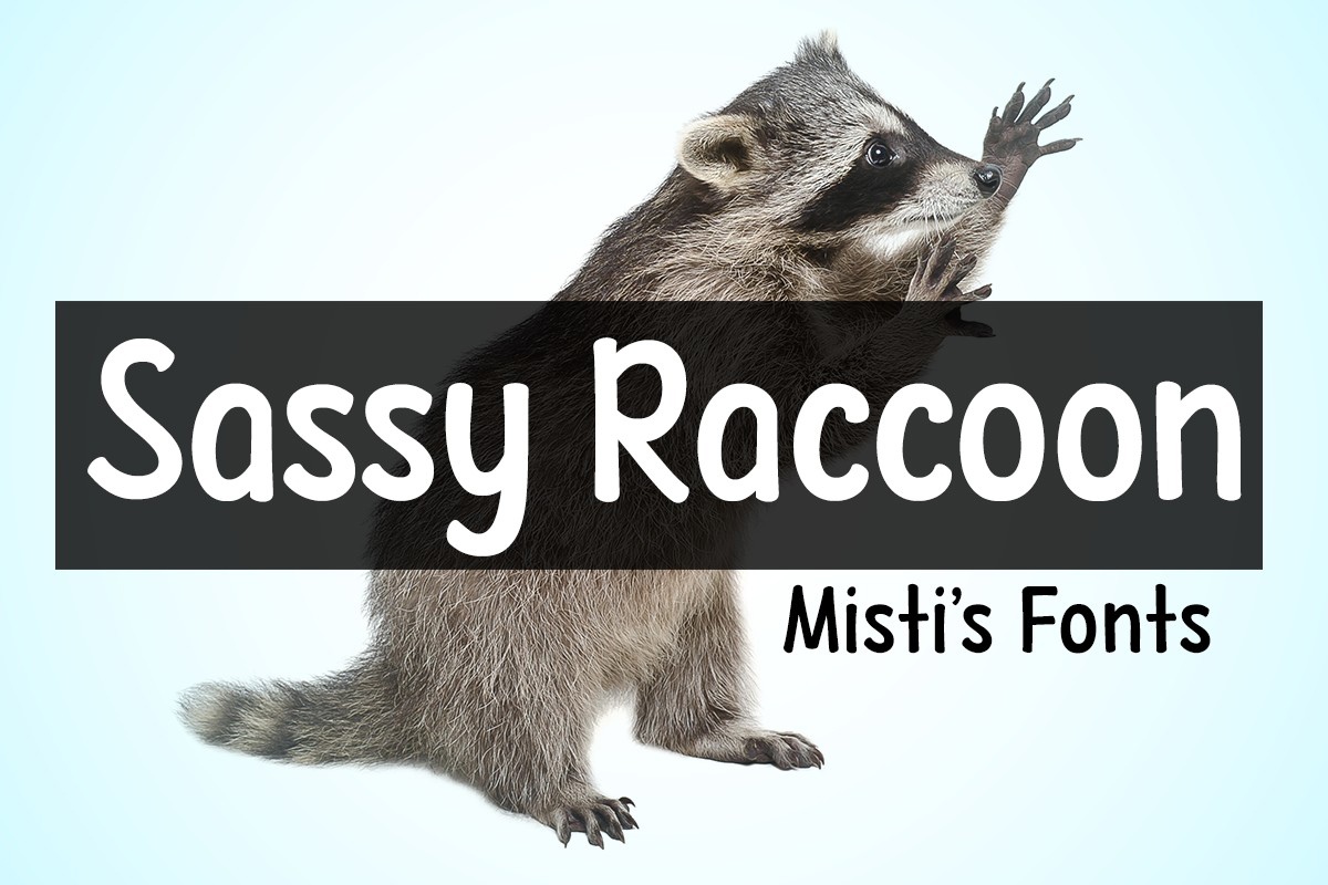 폰트 Sassy Raccoon