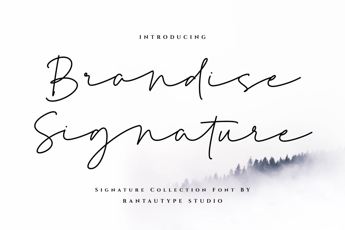 폰트 Brandise Signature