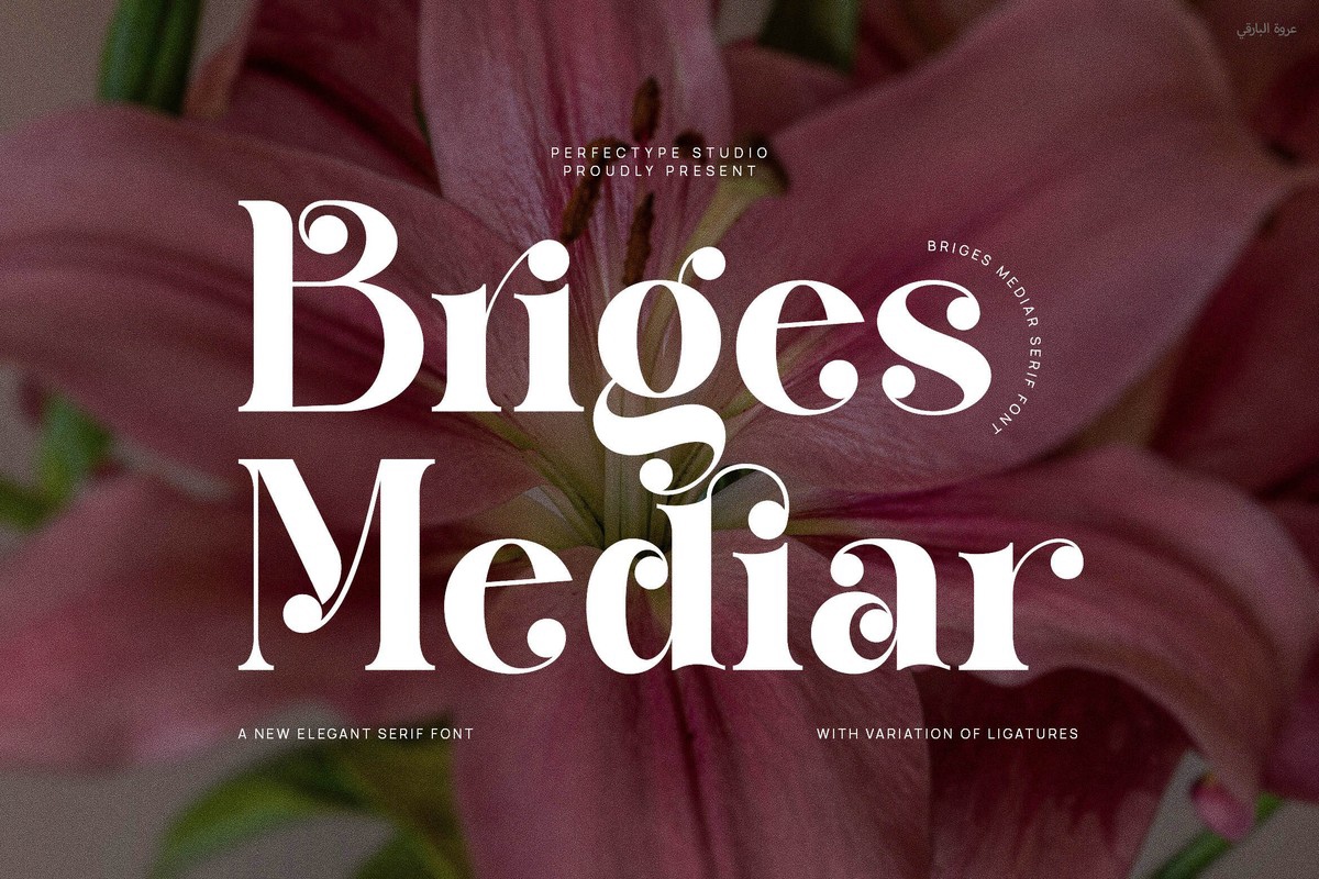 폰트 Briges Mediar