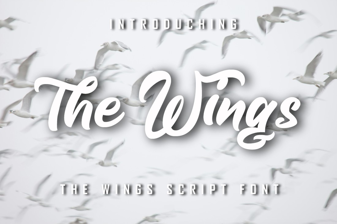 폰트 The Wings