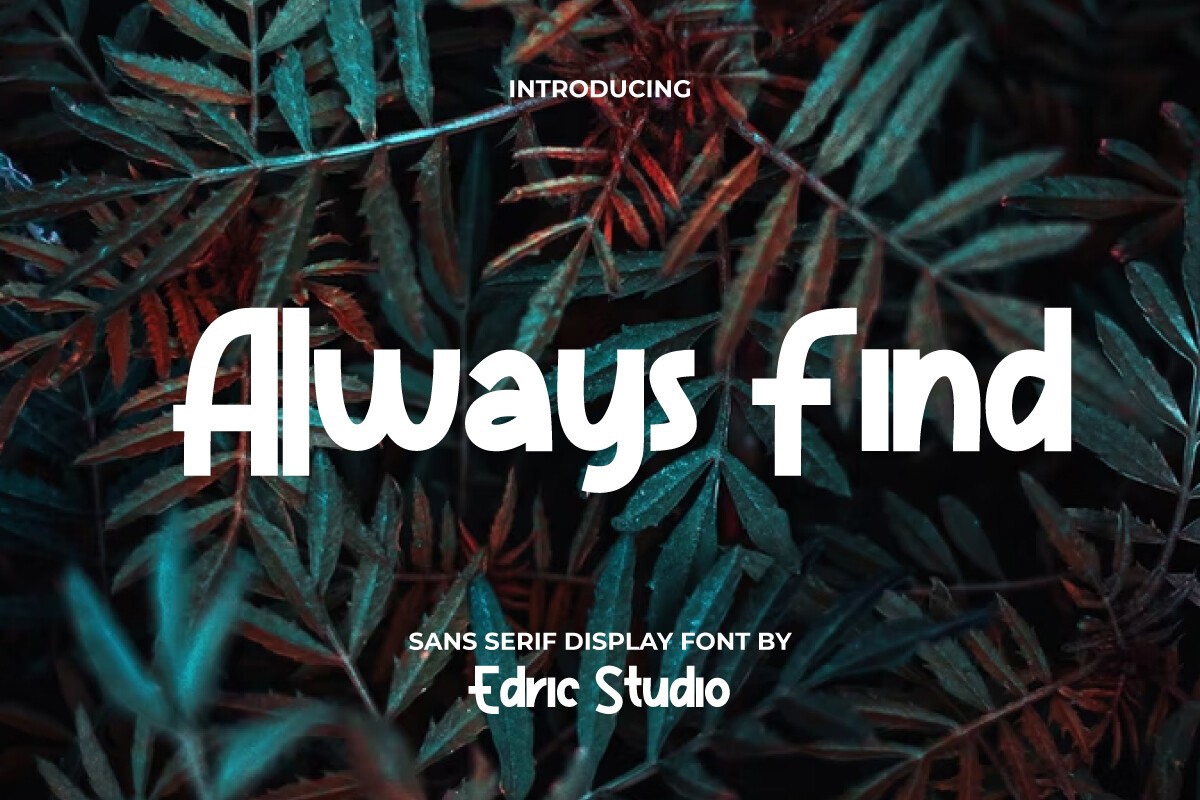 폰트 Always Find