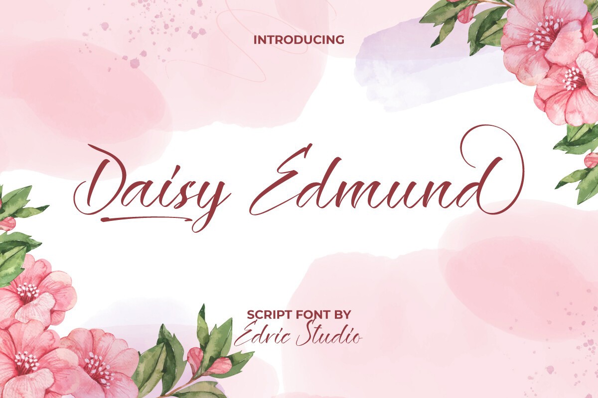폰트 Daisy Edmund