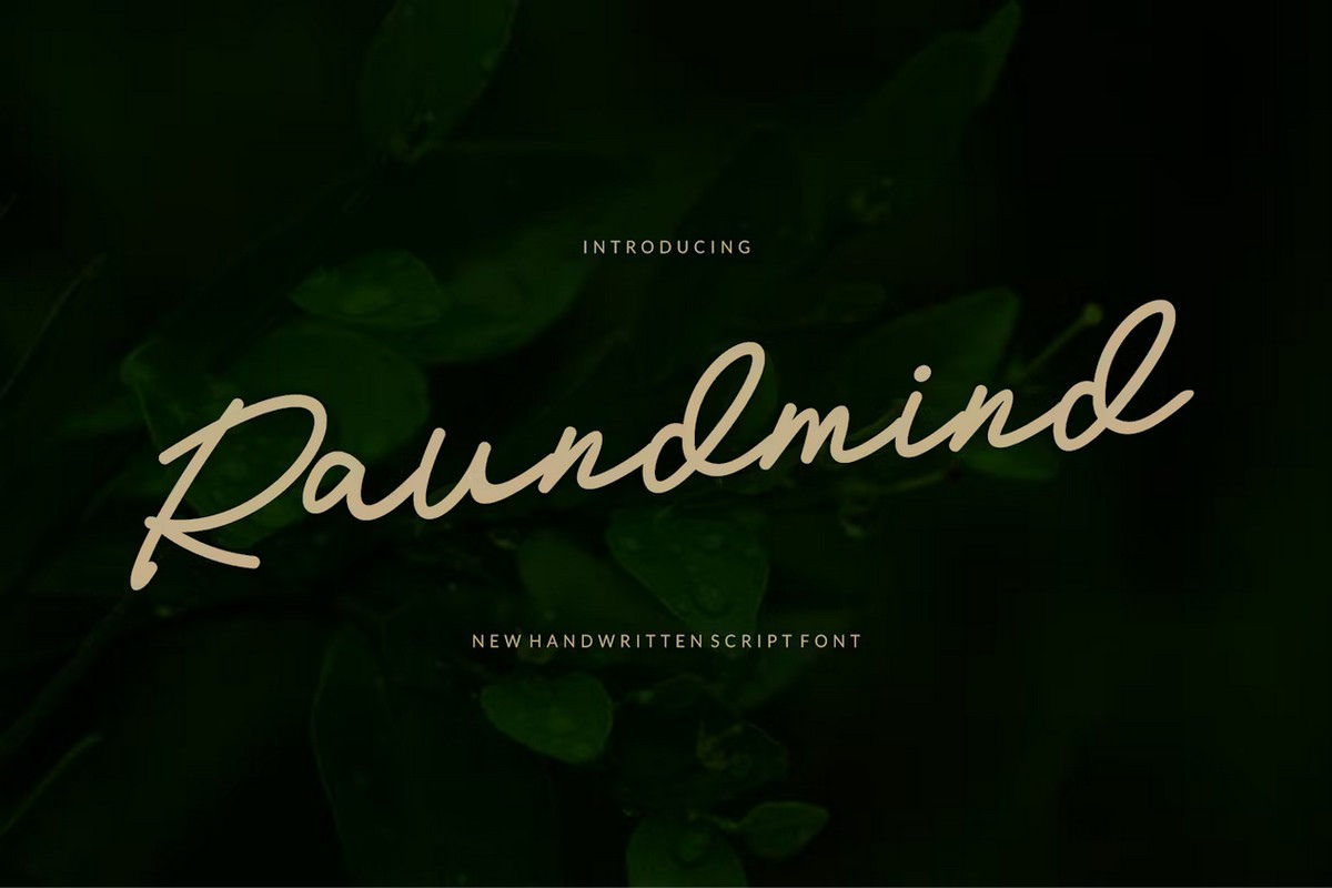 폰트 Raundmind