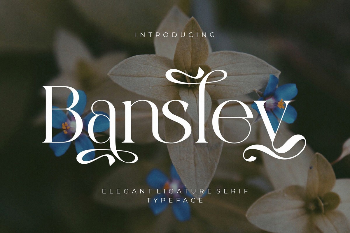 폰트 Bansley