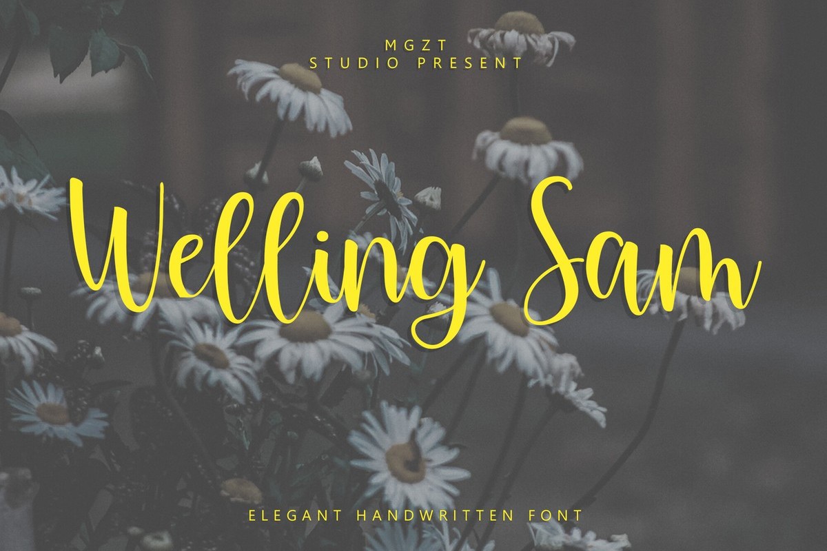 폰트 Welling Sam