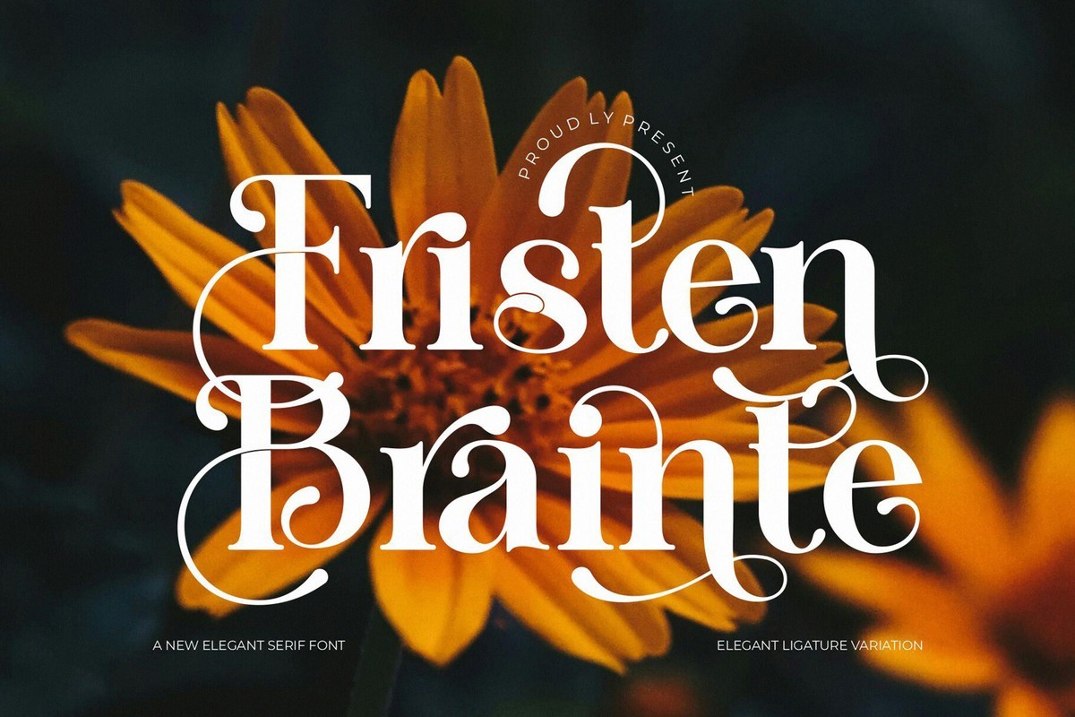 폰트 Fristen Brainte