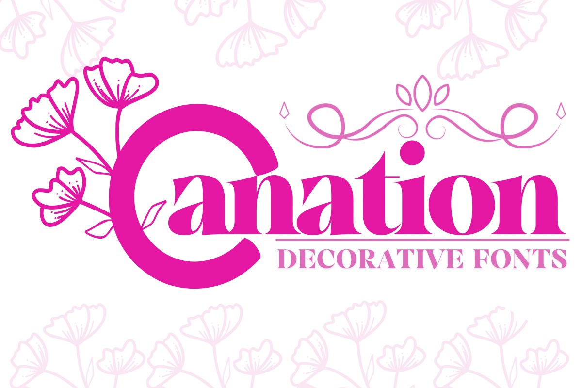 폰트 Carnation