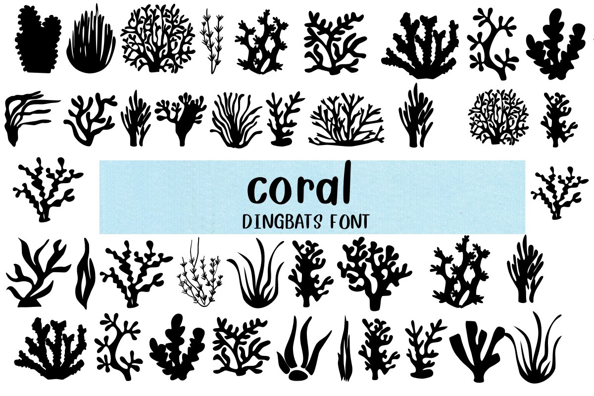 폰트 Coral