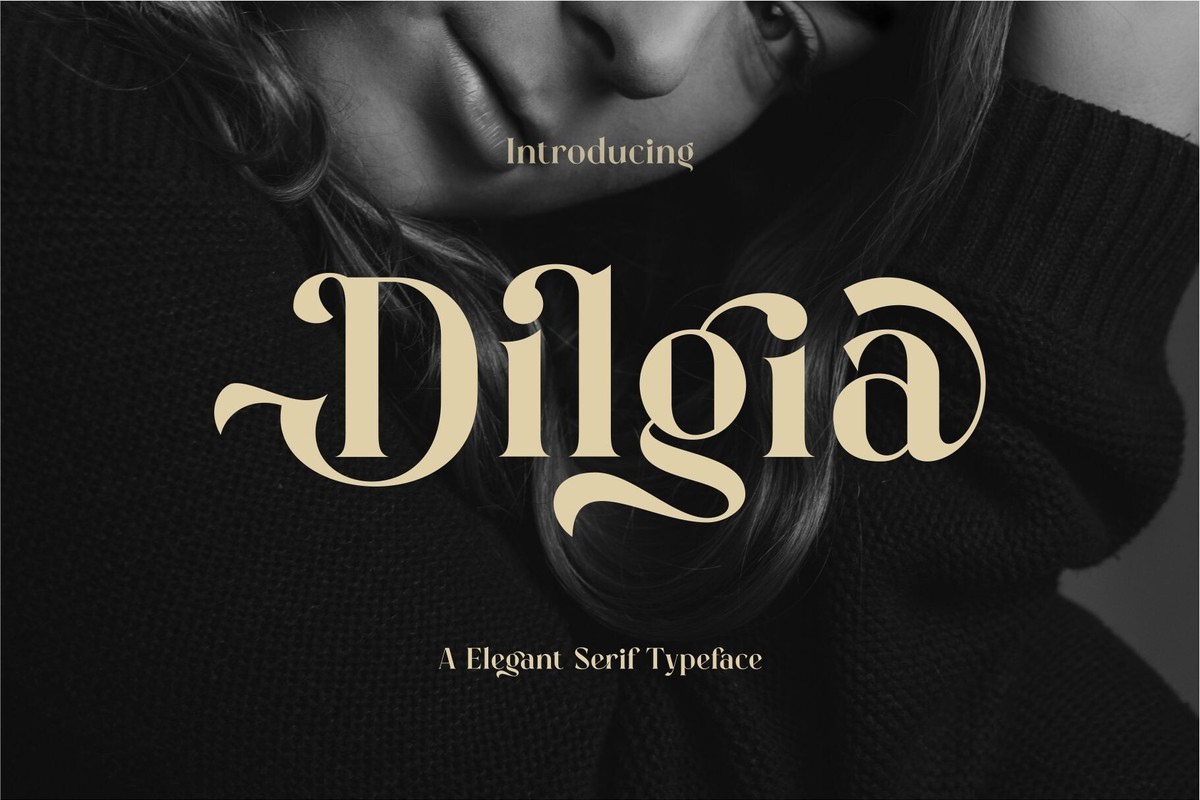 폰트 Dilgia