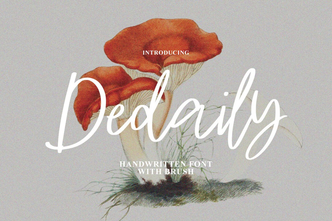 폰트 Dedaily Signature