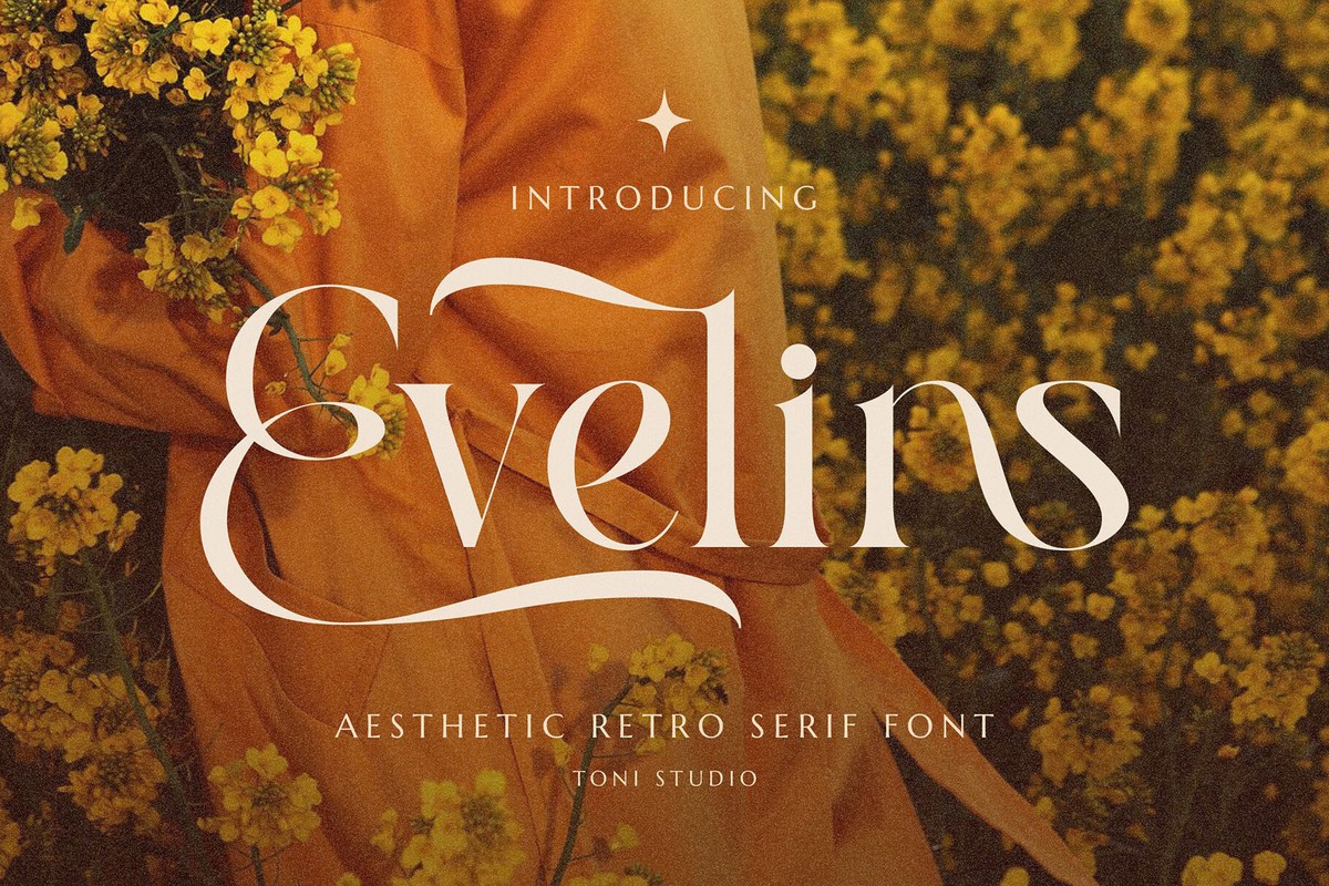 폰트 Evelins