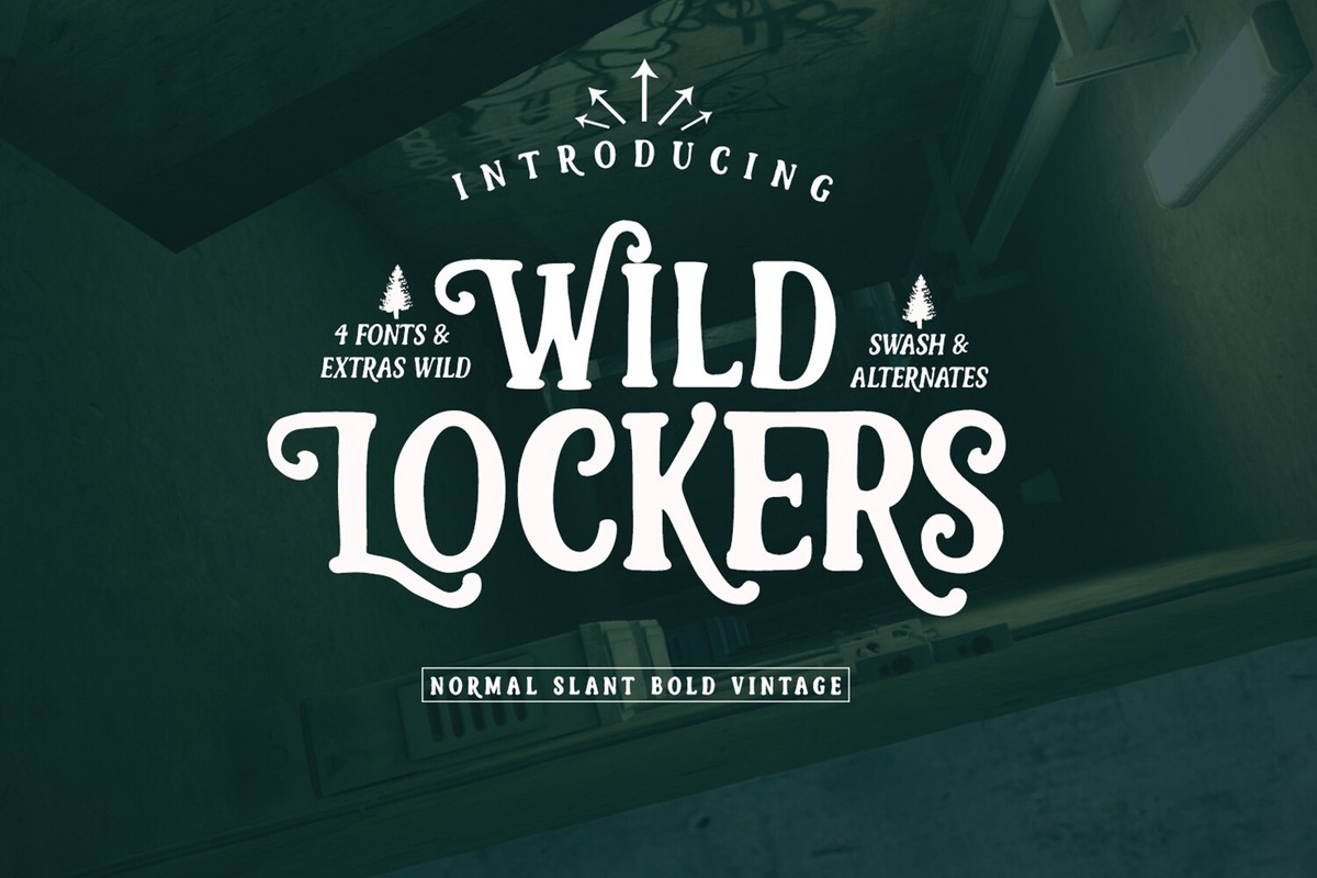 폰트 Wild Lockers
