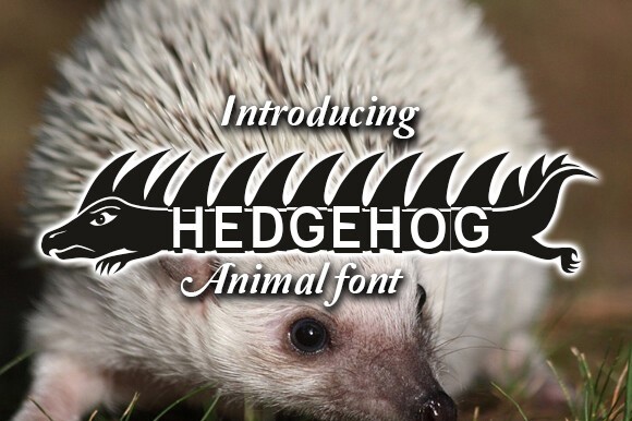 폰트 Hedgehog
