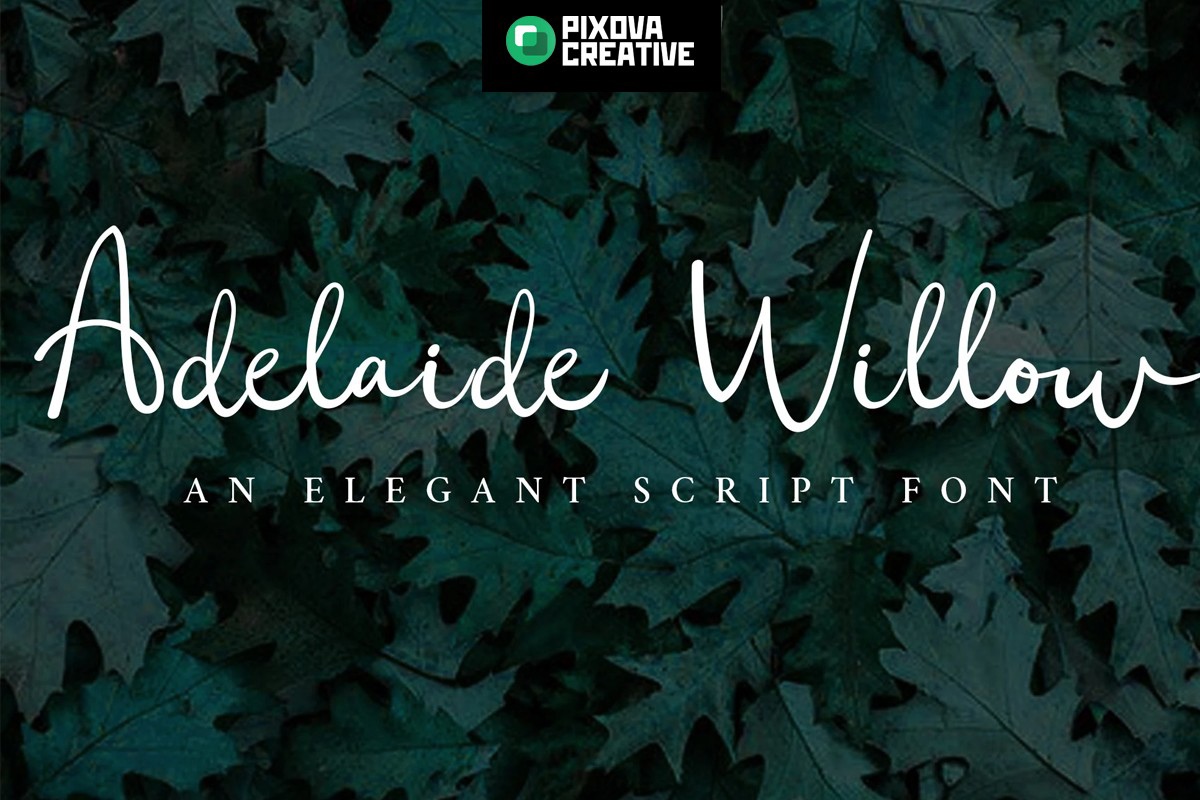 폰트 Adelaide Willow