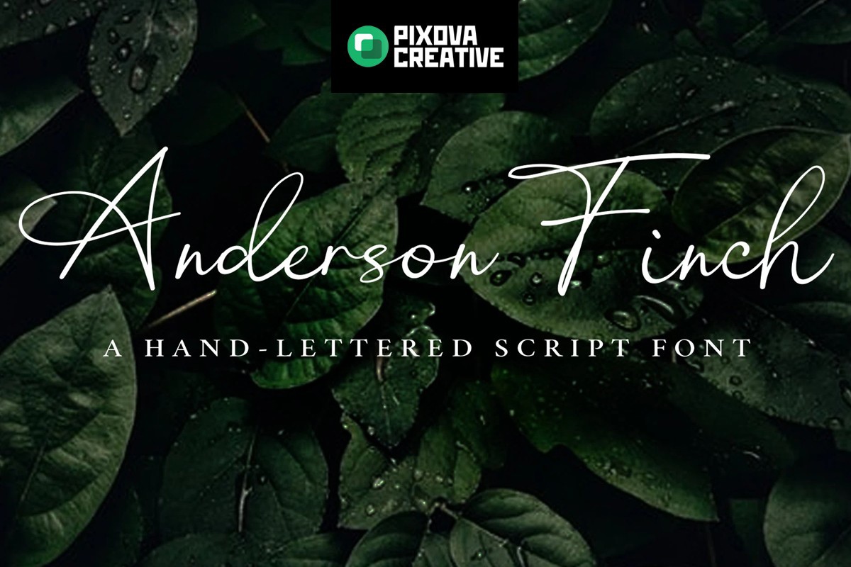 폰트 Anderson Finch